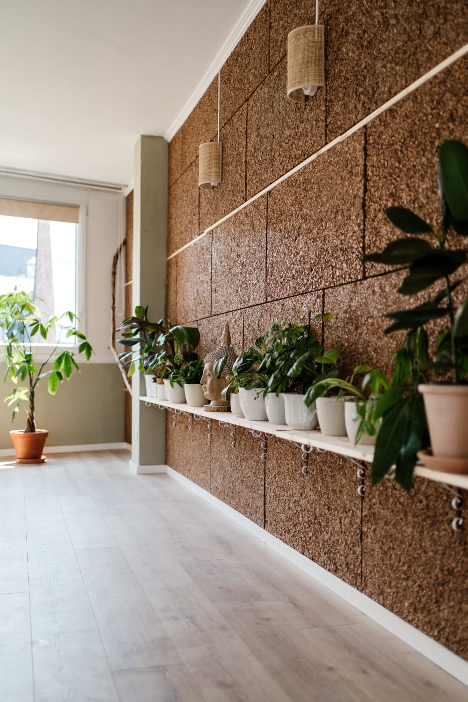 Redwood Studio Bonn Yin Yoga
